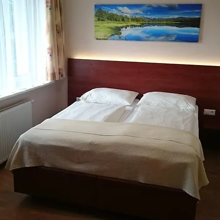 Appartement Alpensee Zell am See Exterior photo