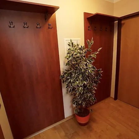 Appartement Alpensee Zell am See Exterior photo